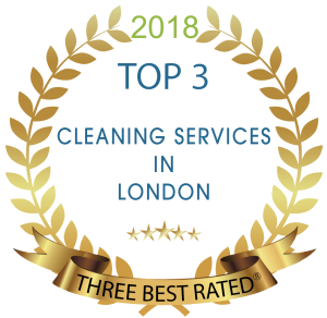 TOP Cleaning Company