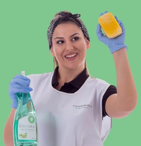 cleaning lady banner